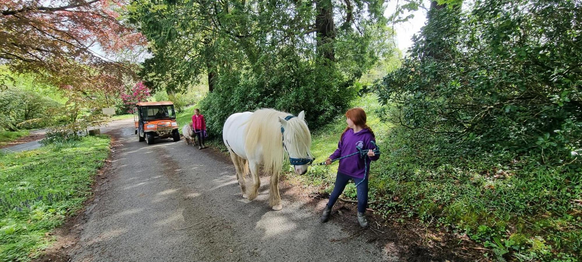 Menheniot No 4 Trelawney Apartment - Onsite Bar - Restaurant - Horse Riding מראה חיצוני תמונה